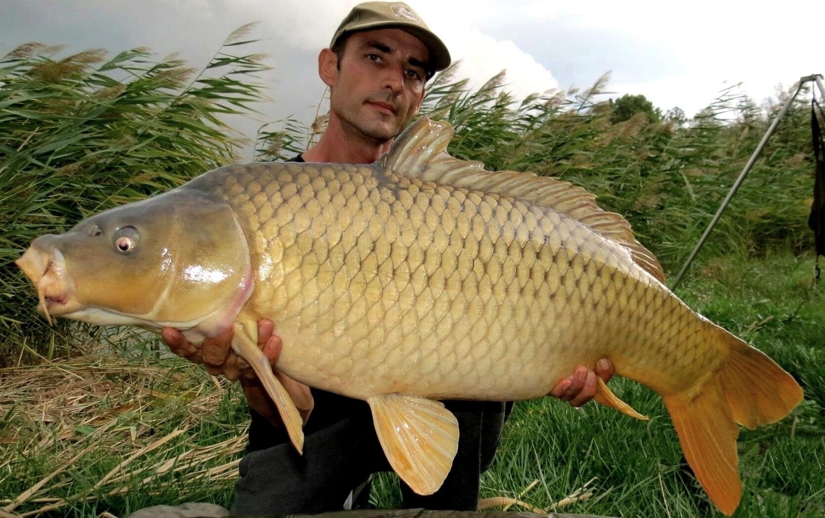 The best pictures of 2013 - 12,510